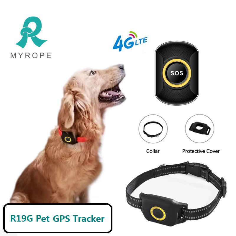 An application scenario or product detail of dog gps tracker chip - Image 1