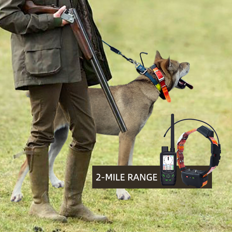 An application scenario or product detail of dog hunting tracking collars - Image 14
