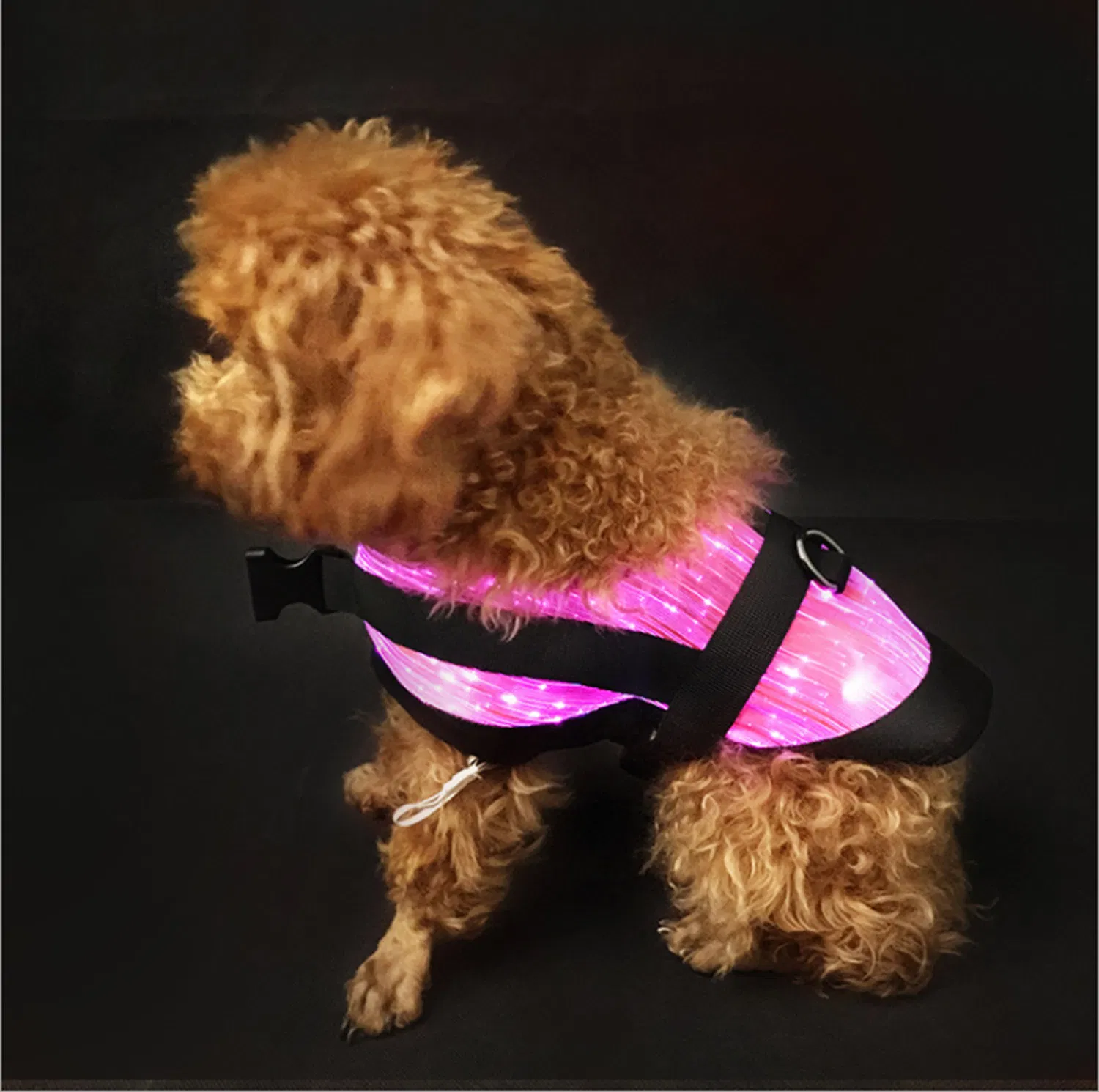 An application scenario or product detail of dog led light vest - Image 14