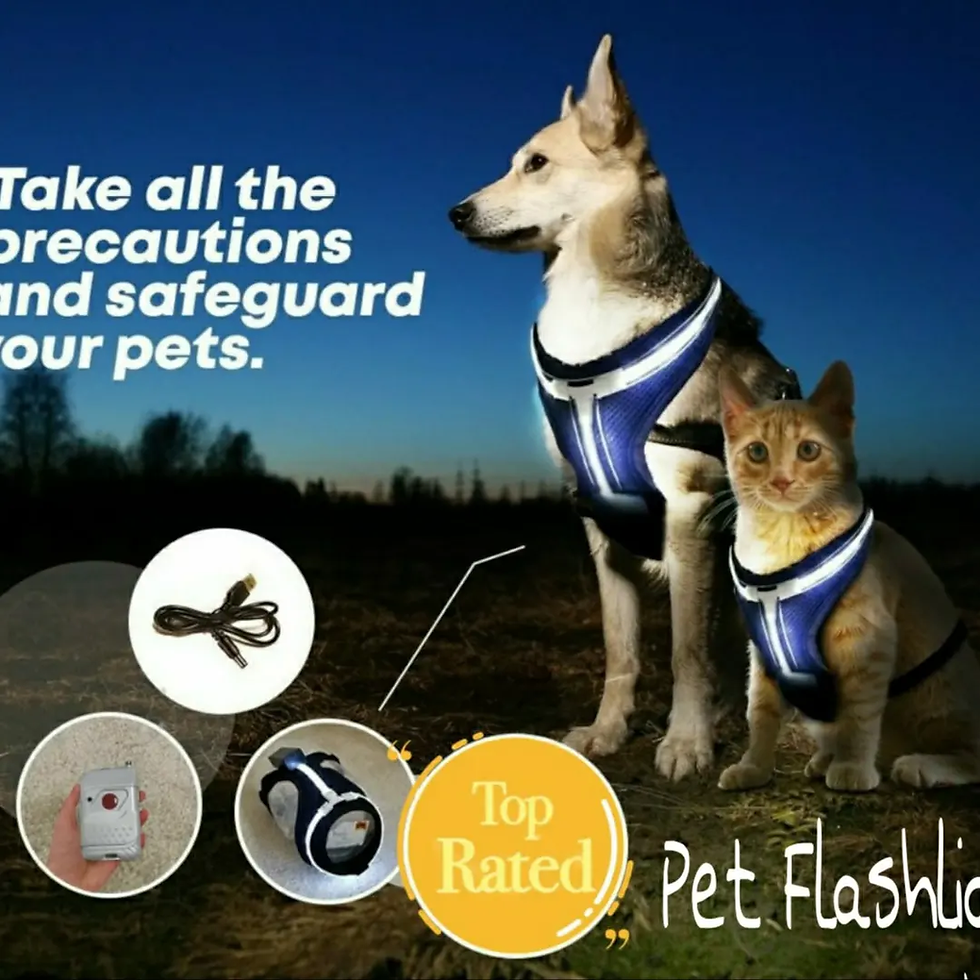 An application scenario or product detail of dog led light vest - Image 15