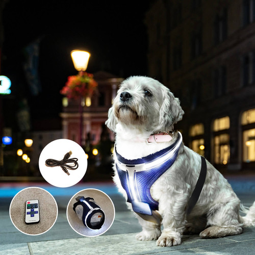 An application scenario or product detail of dog led light vest - Image 20