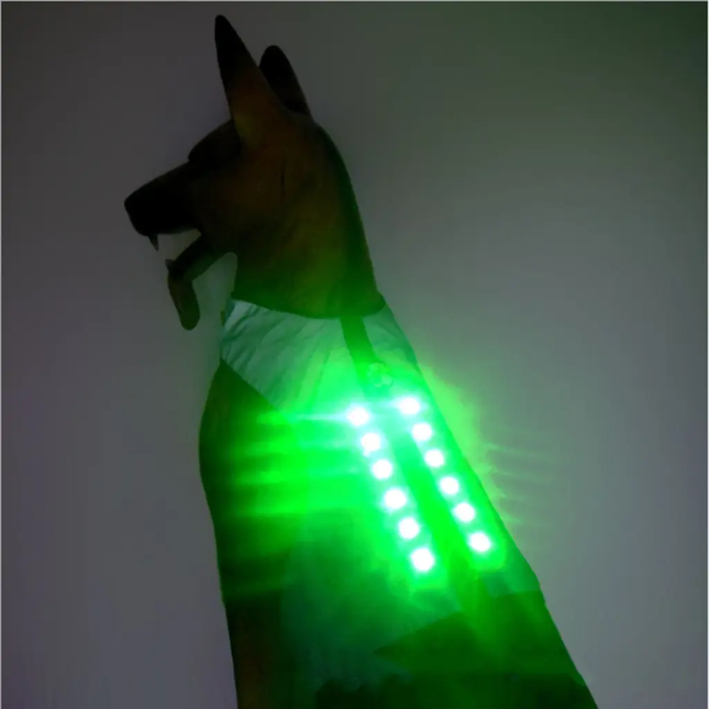 Featured image for the dog led light vest guide