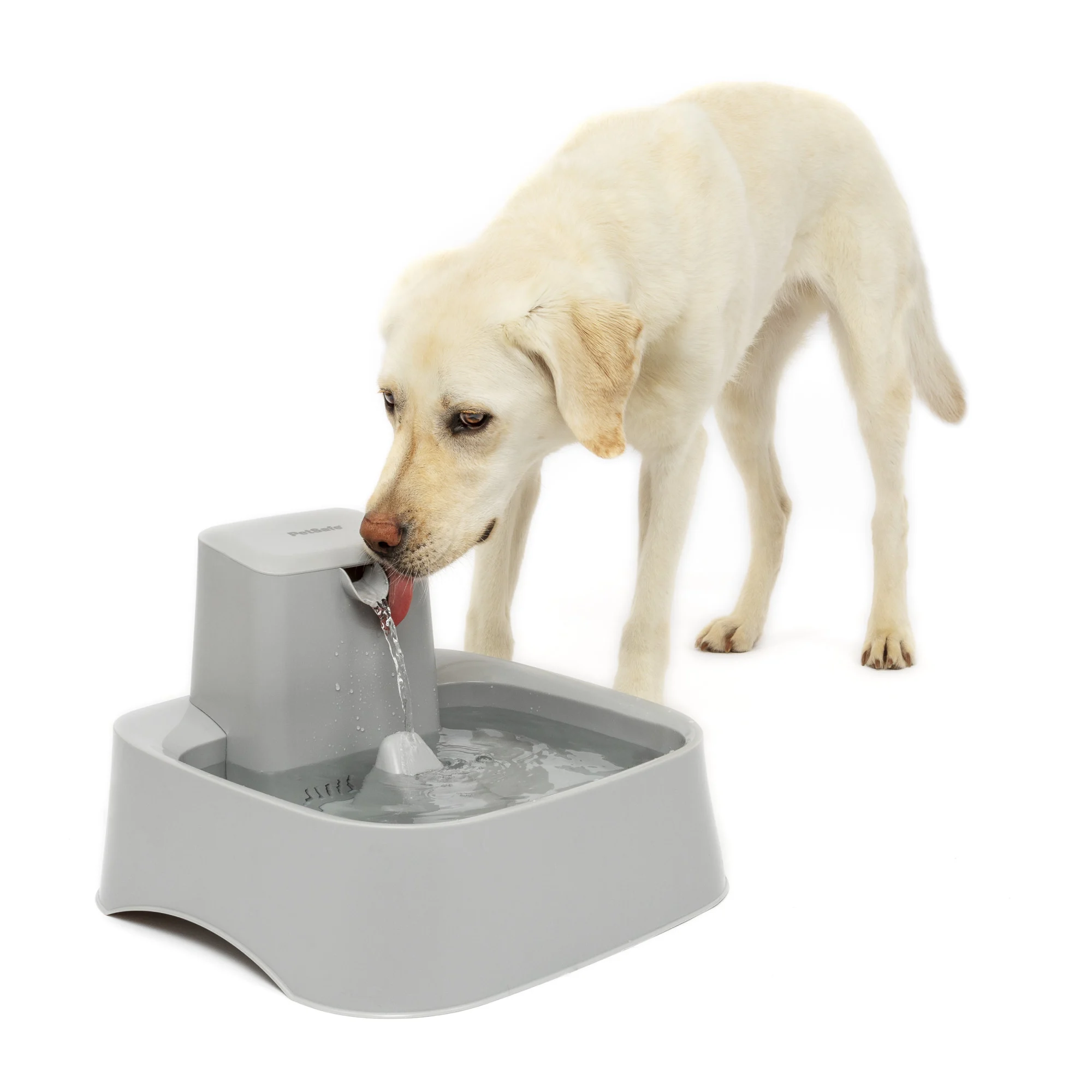 An application scenario or product detail of dog pet water fountain - Image 19