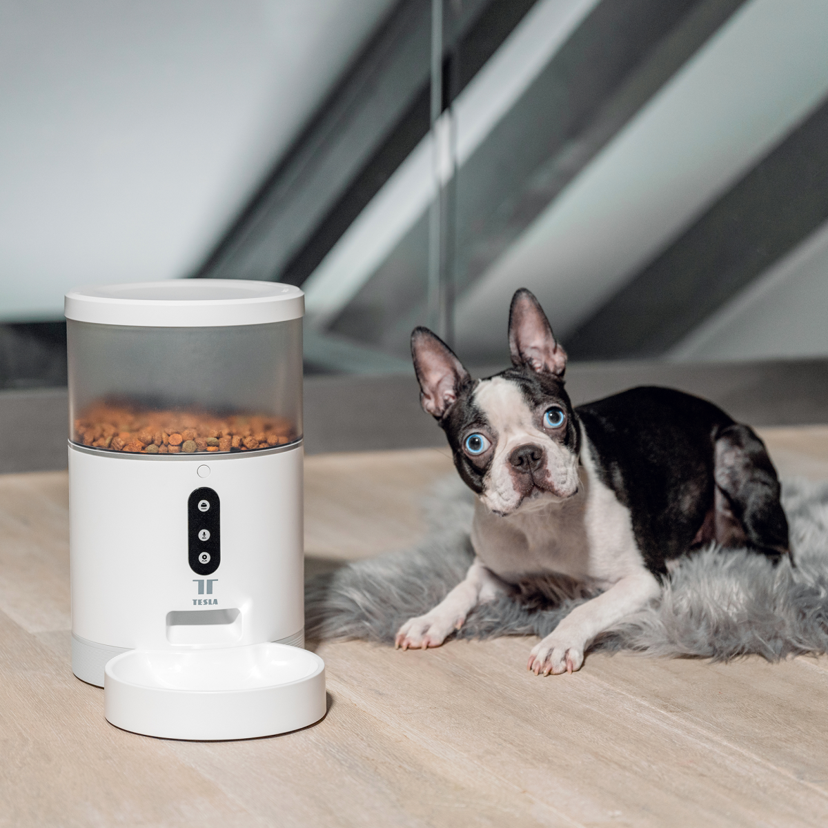 An application scenario or product detail of dog smart feeder - Image 2
