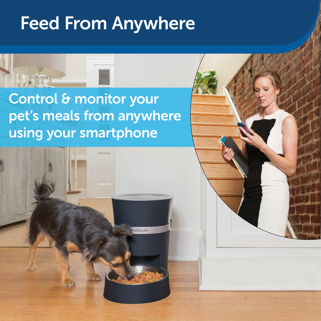 An application scenario or product detail of dog smart feeder - Image 10