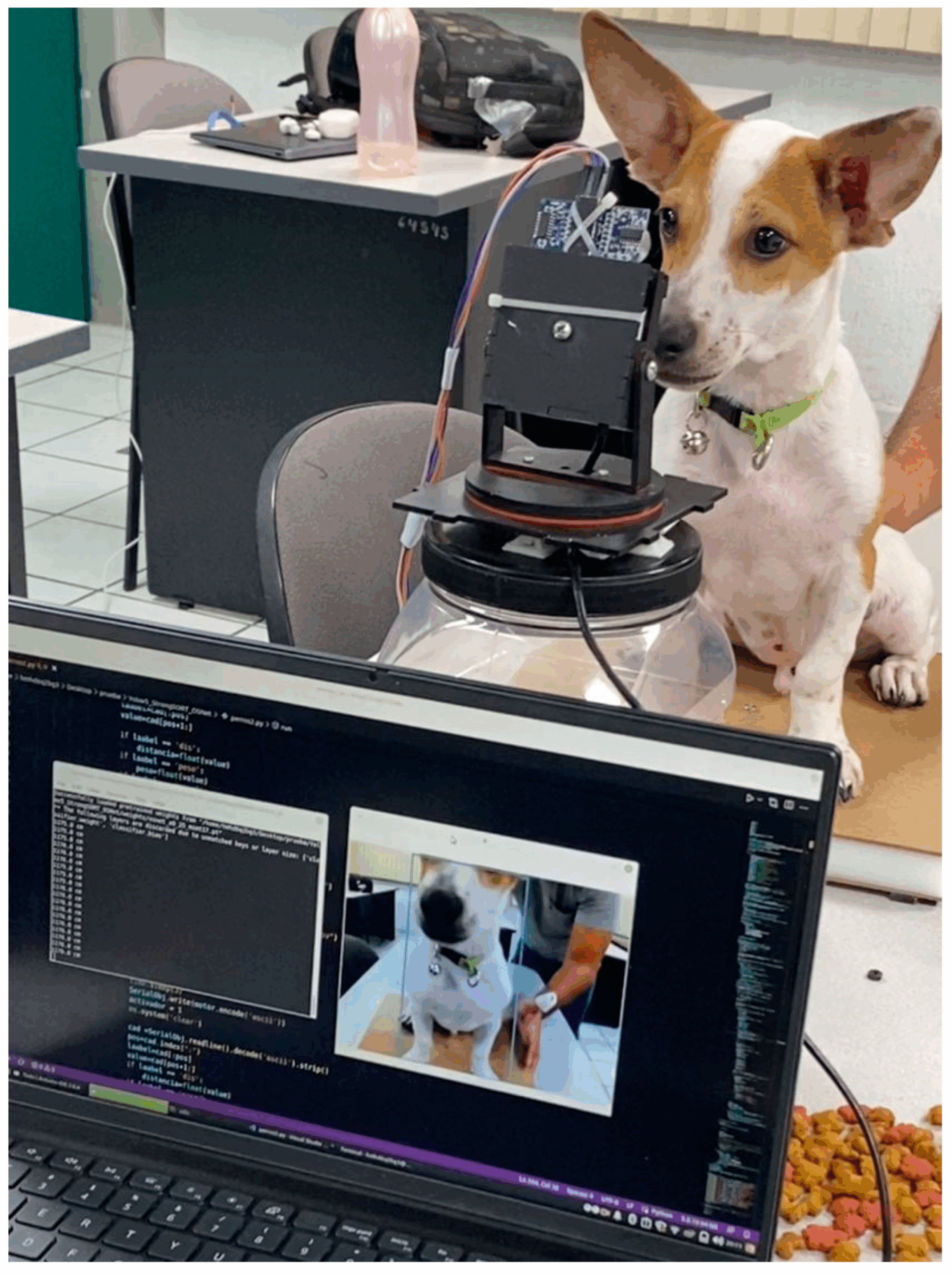 An application scenario or product detail of dog smart feeder - Image 11