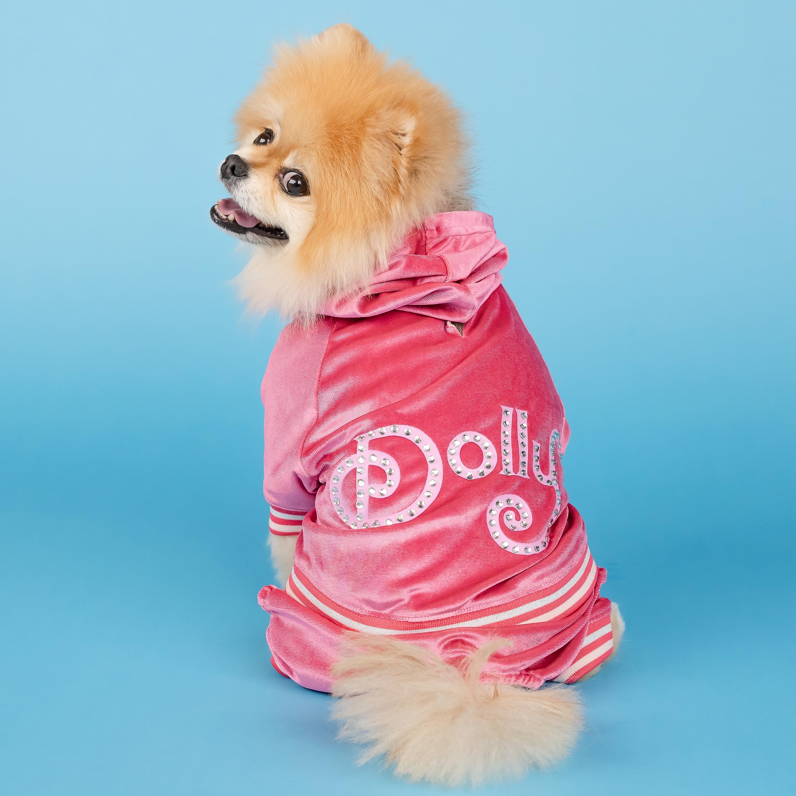 An application scenario or product detail of dog track suit - Image 2