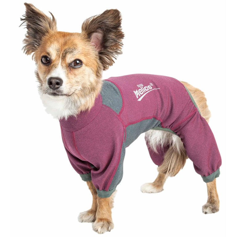 An application scenario or product detail of dog track suit - Image 4