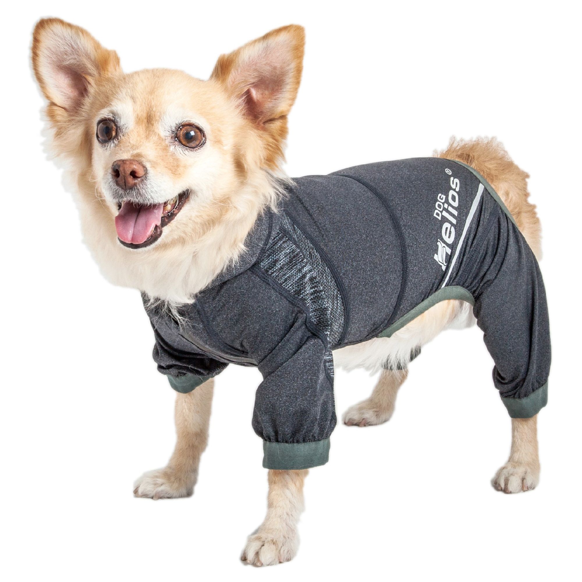 An application scenario or product detail of dog track suit - Image 9