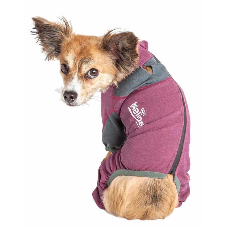 An application scenario or product detail of dog track suit - Image 13