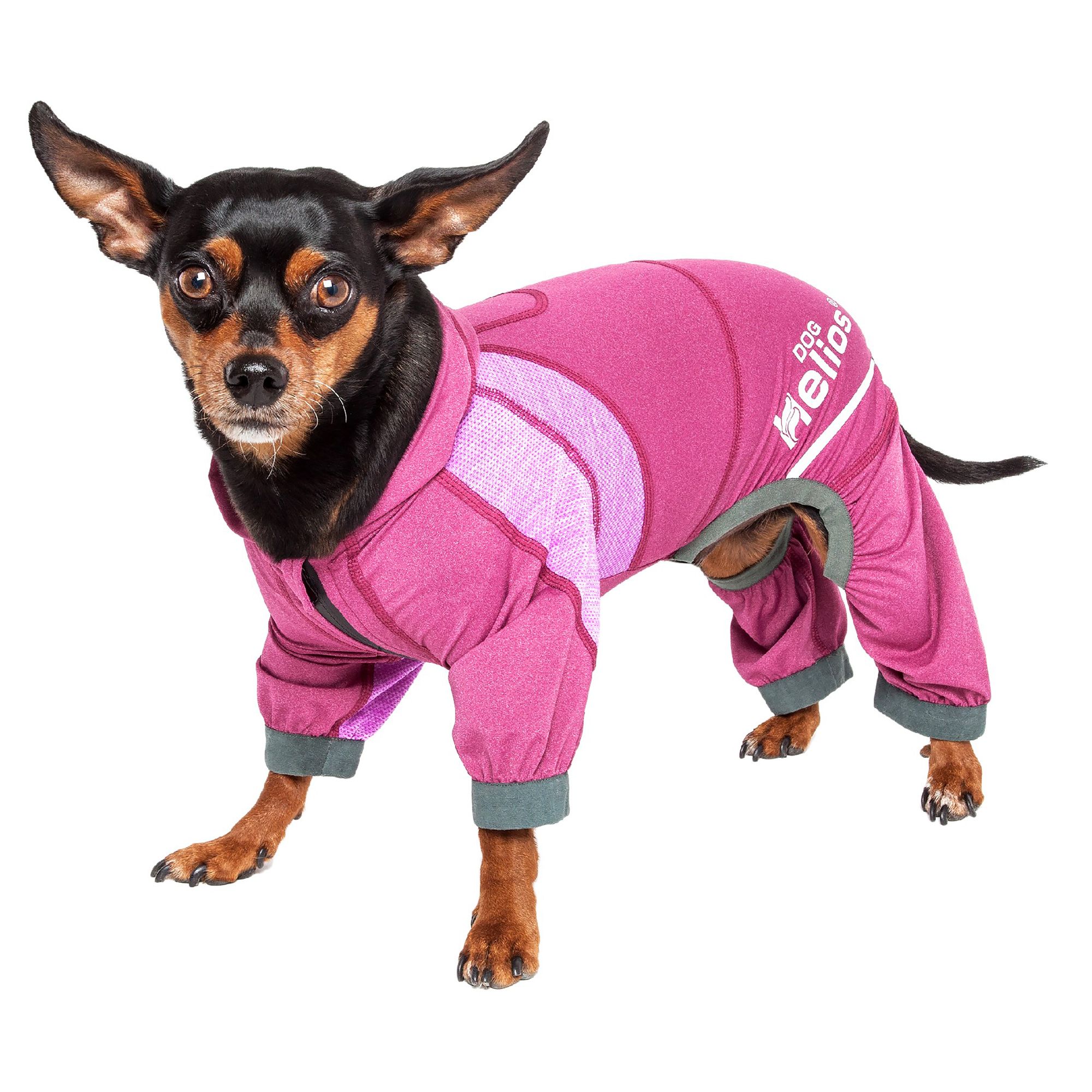 An application scenario or product detail of dog track suit - Image 20