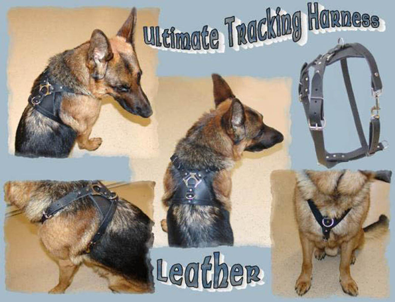 An application scenario or product detail of dog tracking harness - Image 13