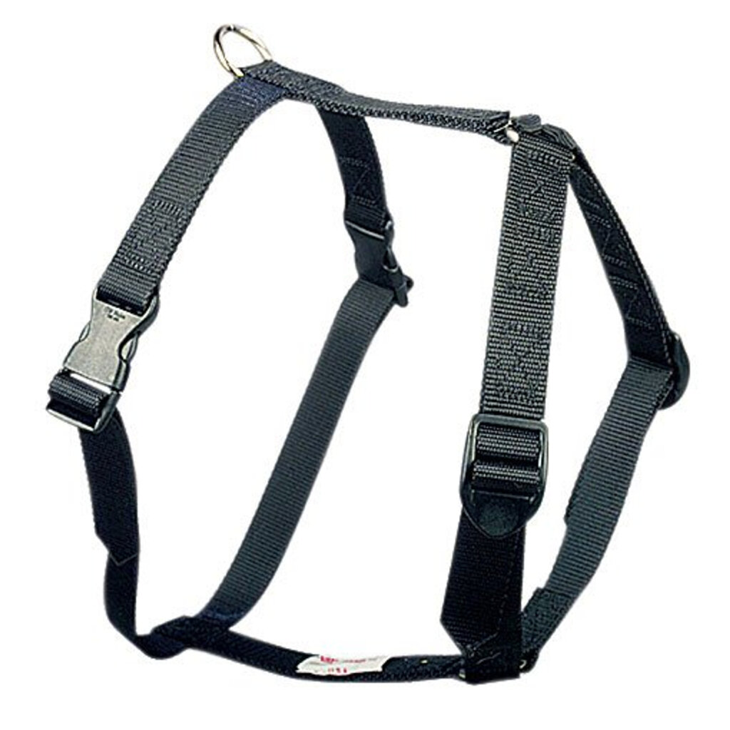 Featured image for the dog tracking harness guide