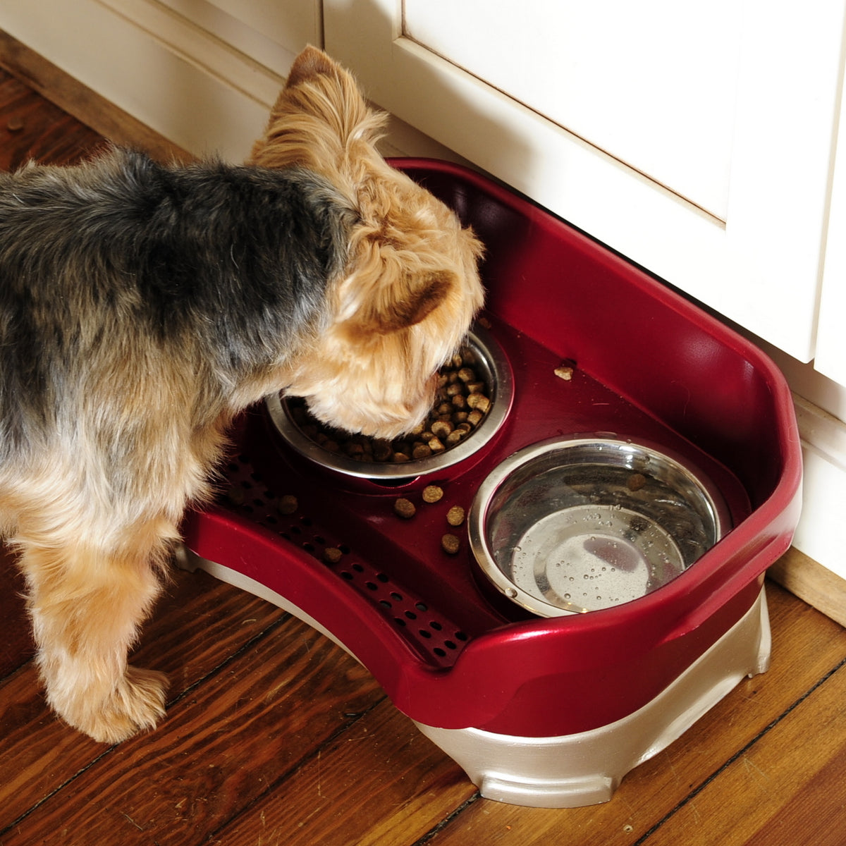 An application scenario or product detail of dog water dish for messy drinkers - Image 7