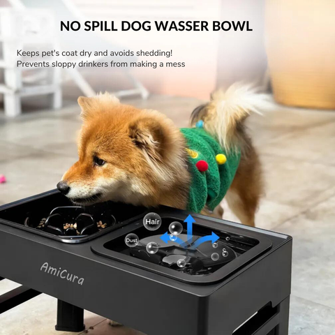 An application scenario or product detail of dog water dish for messy drinkers - Image 16