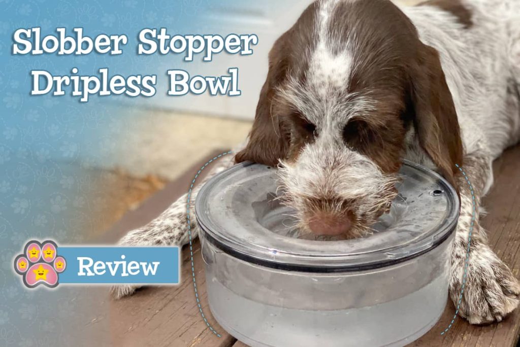 An application scenario or product detail of dog water dish for messy drinkers - Image 21