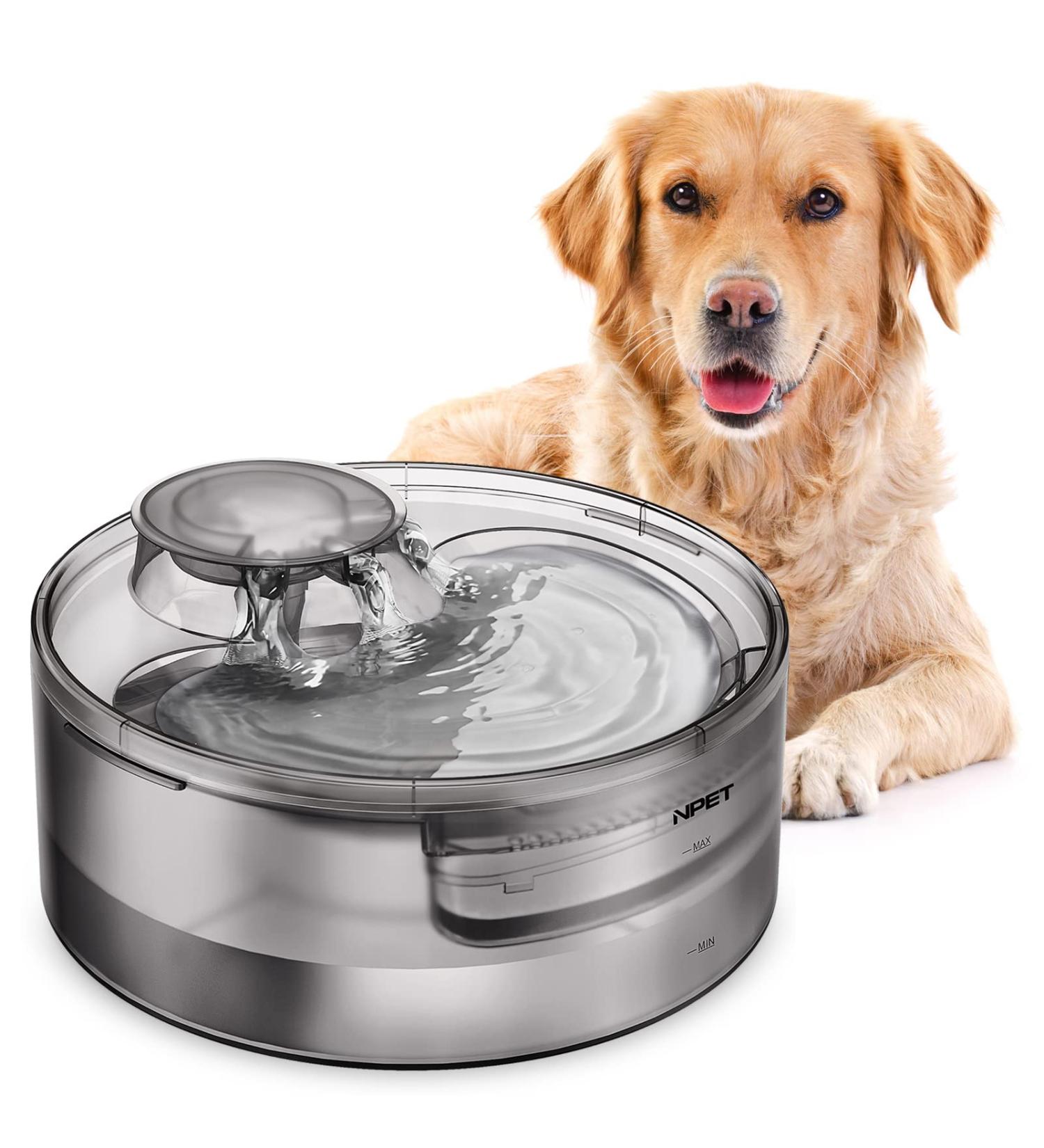 An application scenario or product detail of dog water dispenser with filter - Image 4