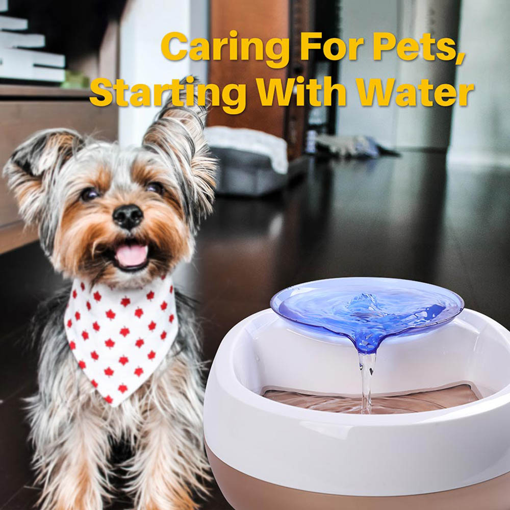 An application scenario or product detail of dog water dispenser with filter - Image 6