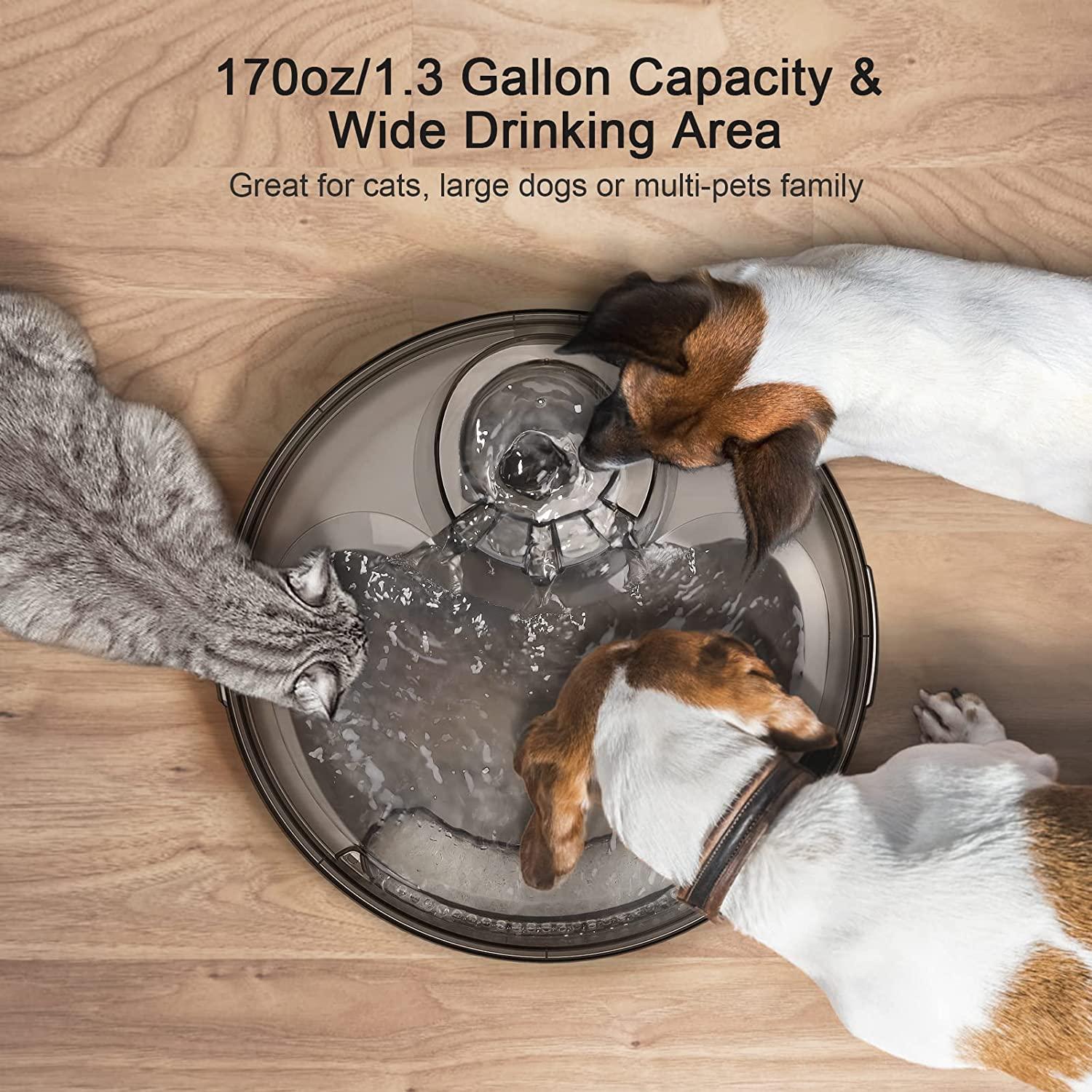 An application scenario or product detail of dog water dispenser with filter - Image 16