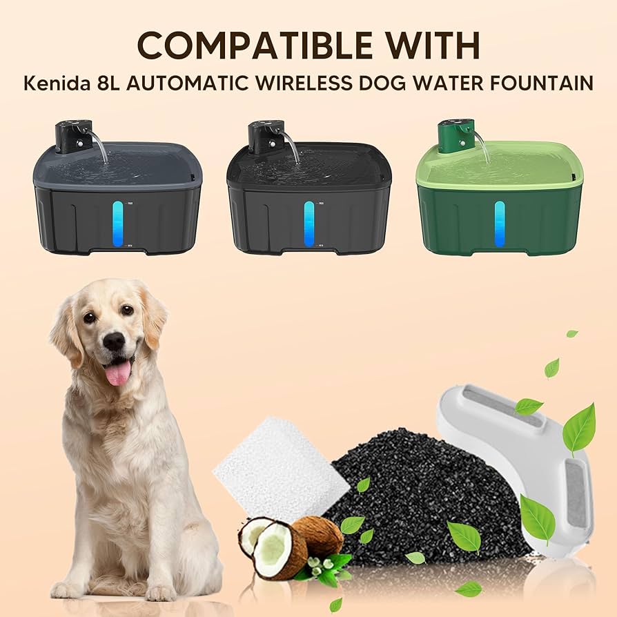 Featured image for the dog water dispenser with filter guide