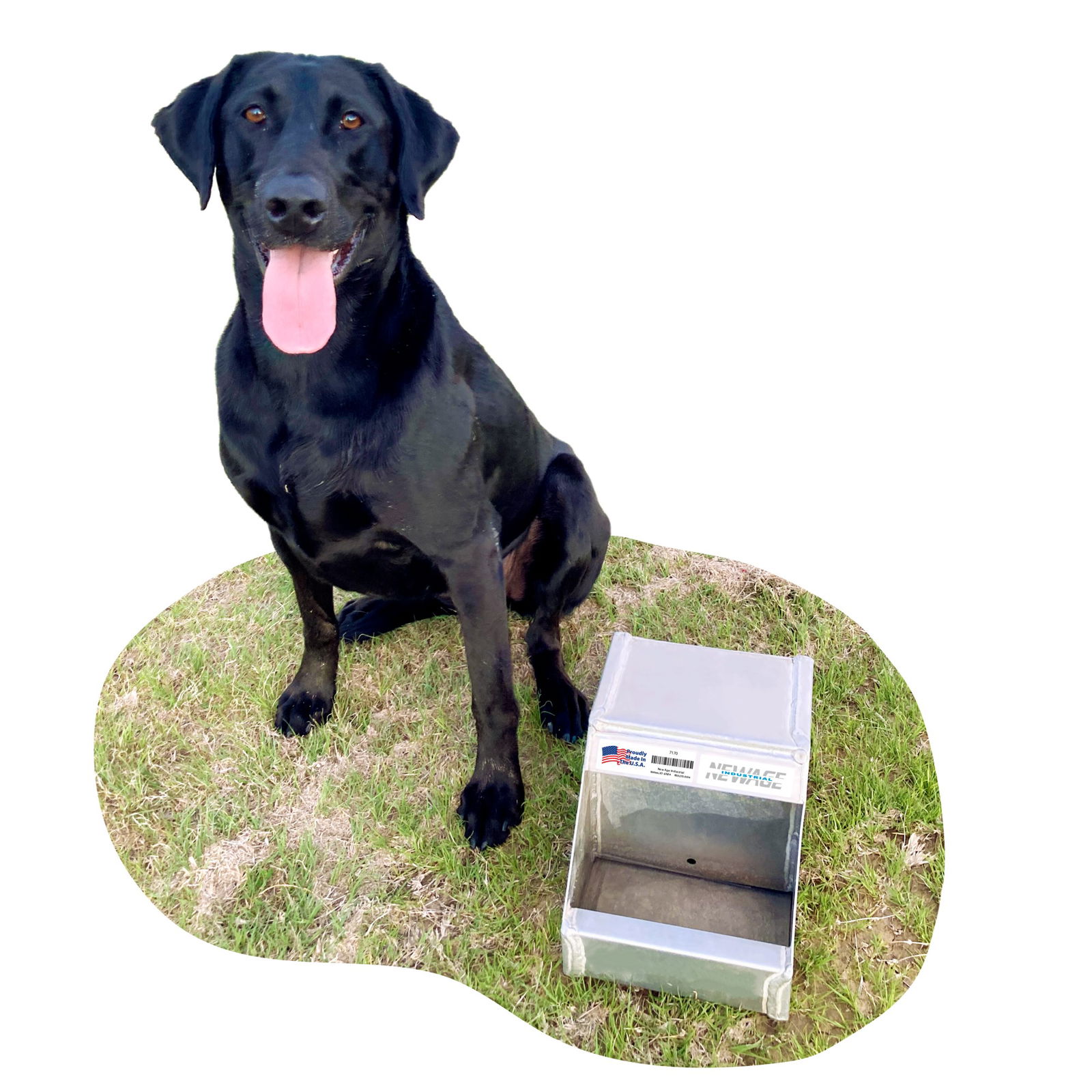 An application scenario or product detail of dog water dispensers - Image 8