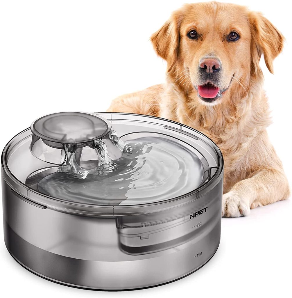 An application scenario or product detail of dog water dispensers - Image 9