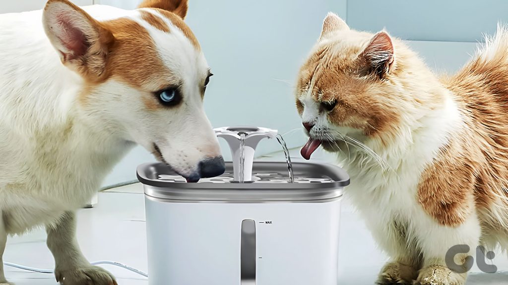 An application scenario or product detail of dog water dispensers - Image 16