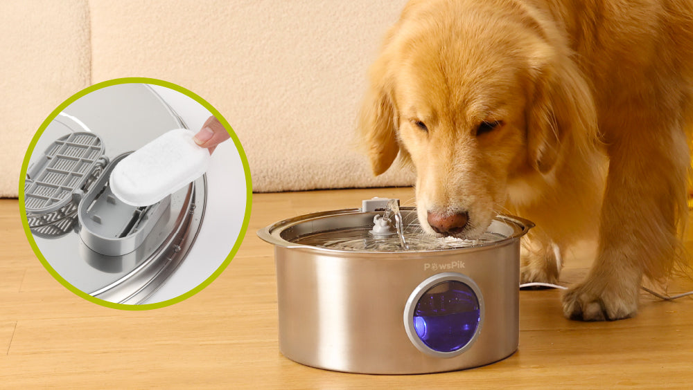 An application scenario or product detail of dog water filter - Image 10