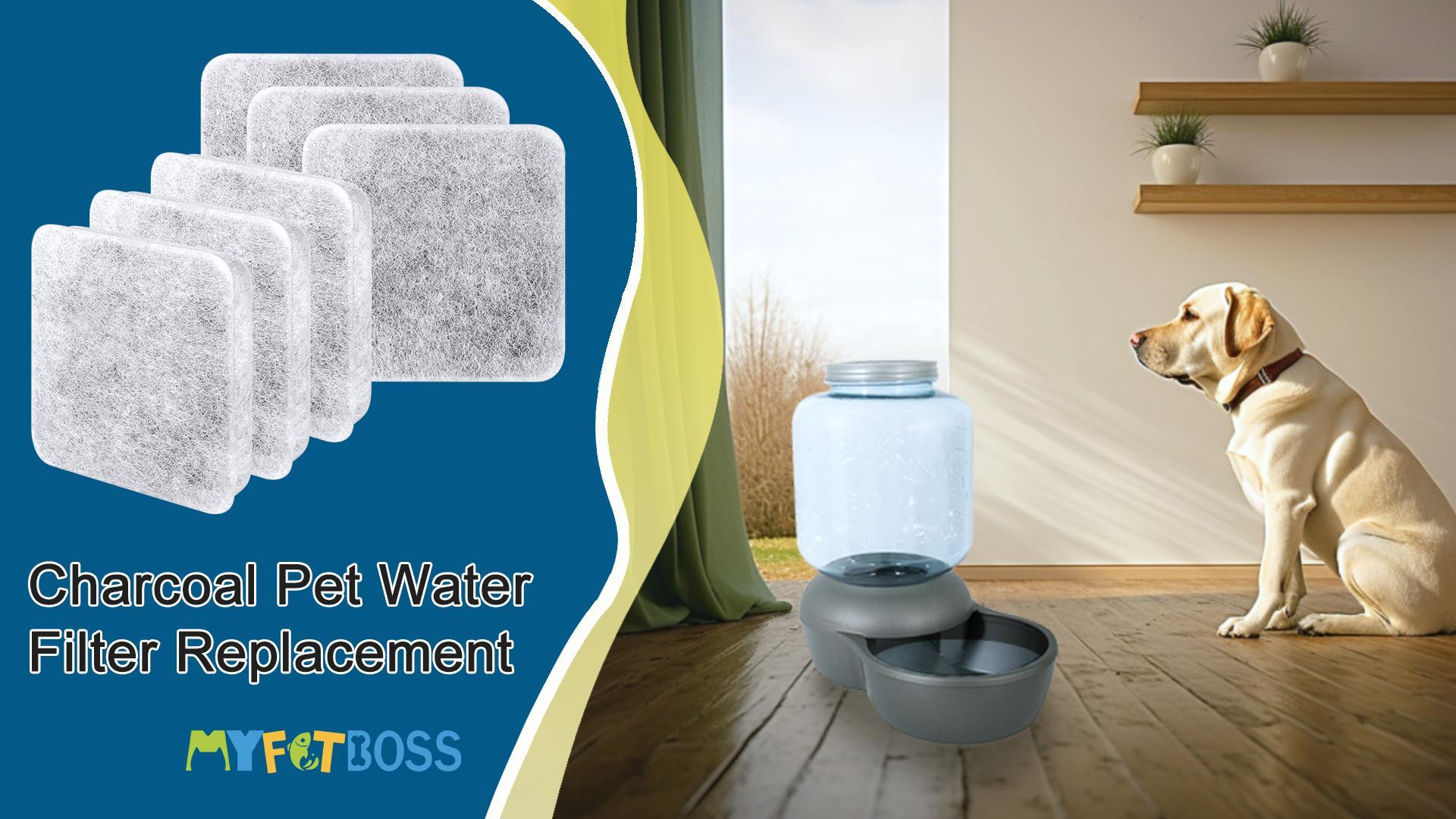 An application scenario or product detail of dog water filter - Image 17