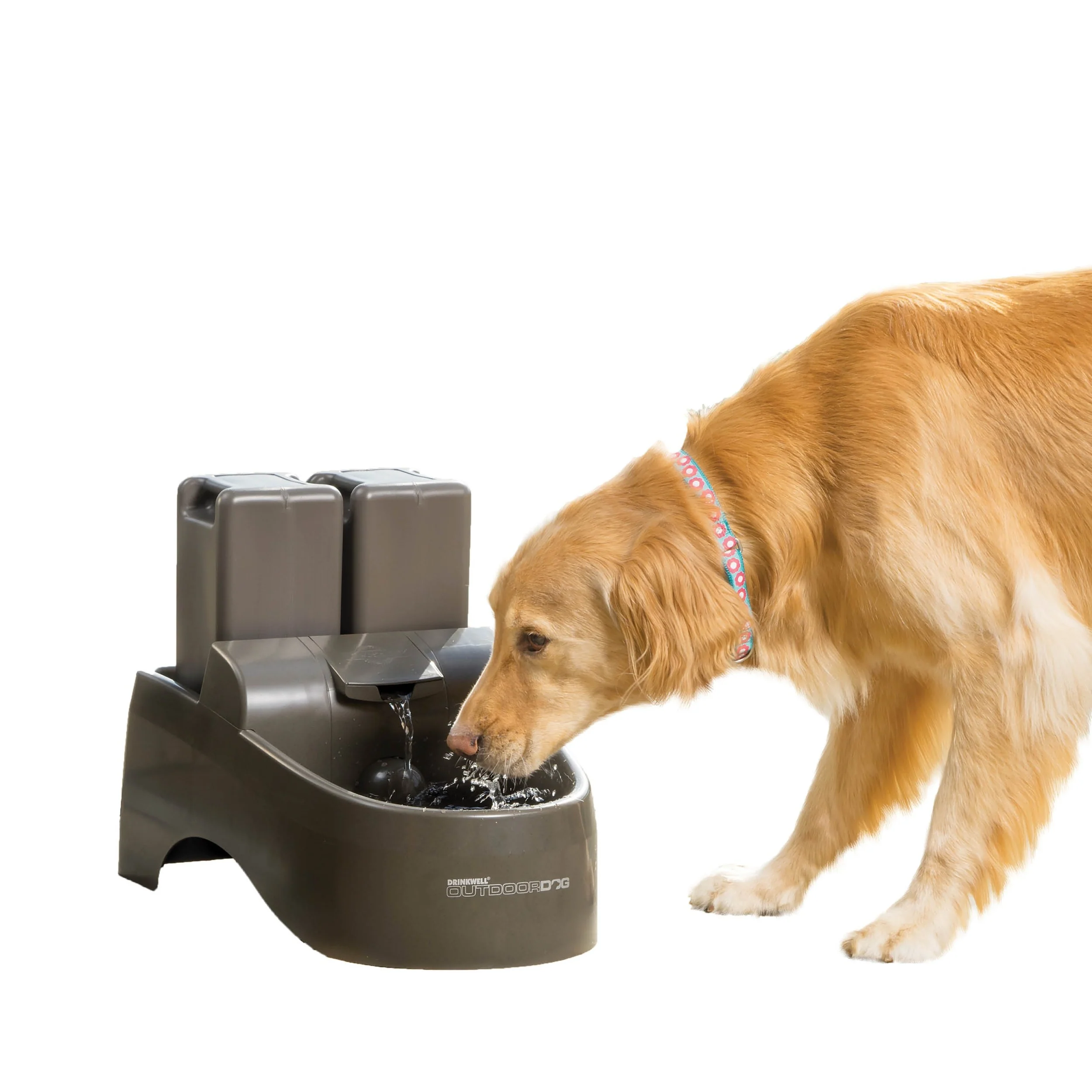 An application scenario or product detail of dog water filter fountain - Image 6