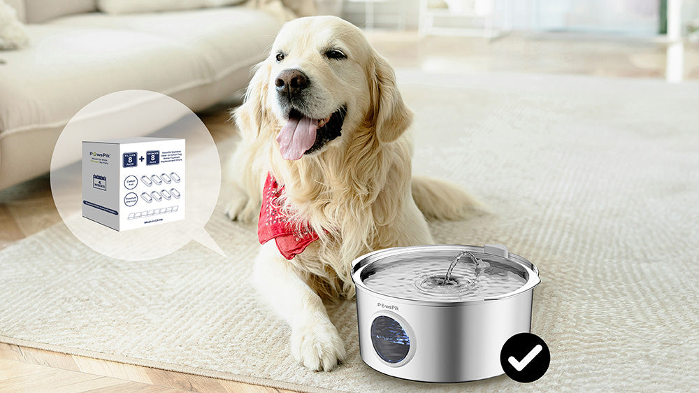 An application scenario or product detail of dog water filter fountain - Image 10