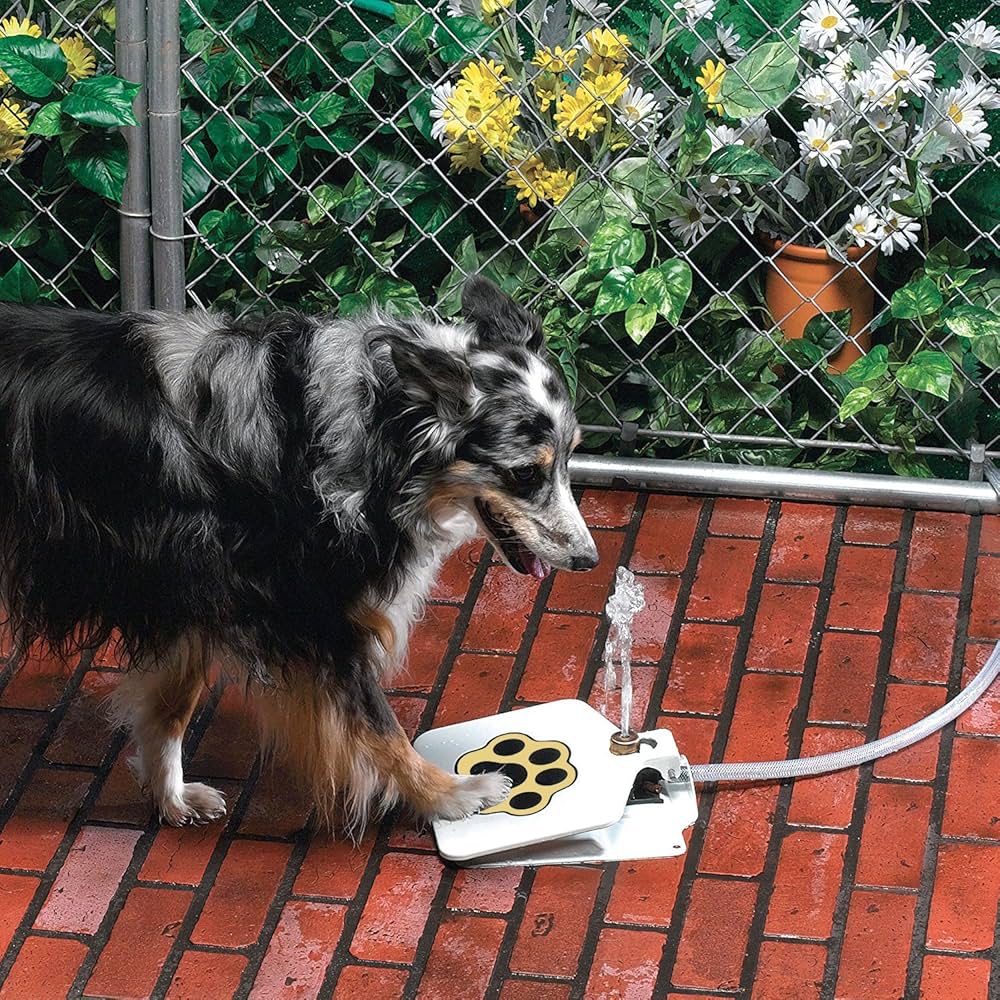 An application scenario or product detail of dog watering fountain - Image 3