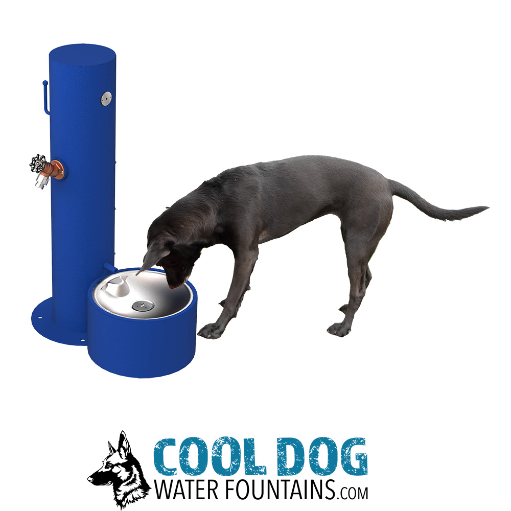 An application scenario or product detail of dog watering fountain - Image 10