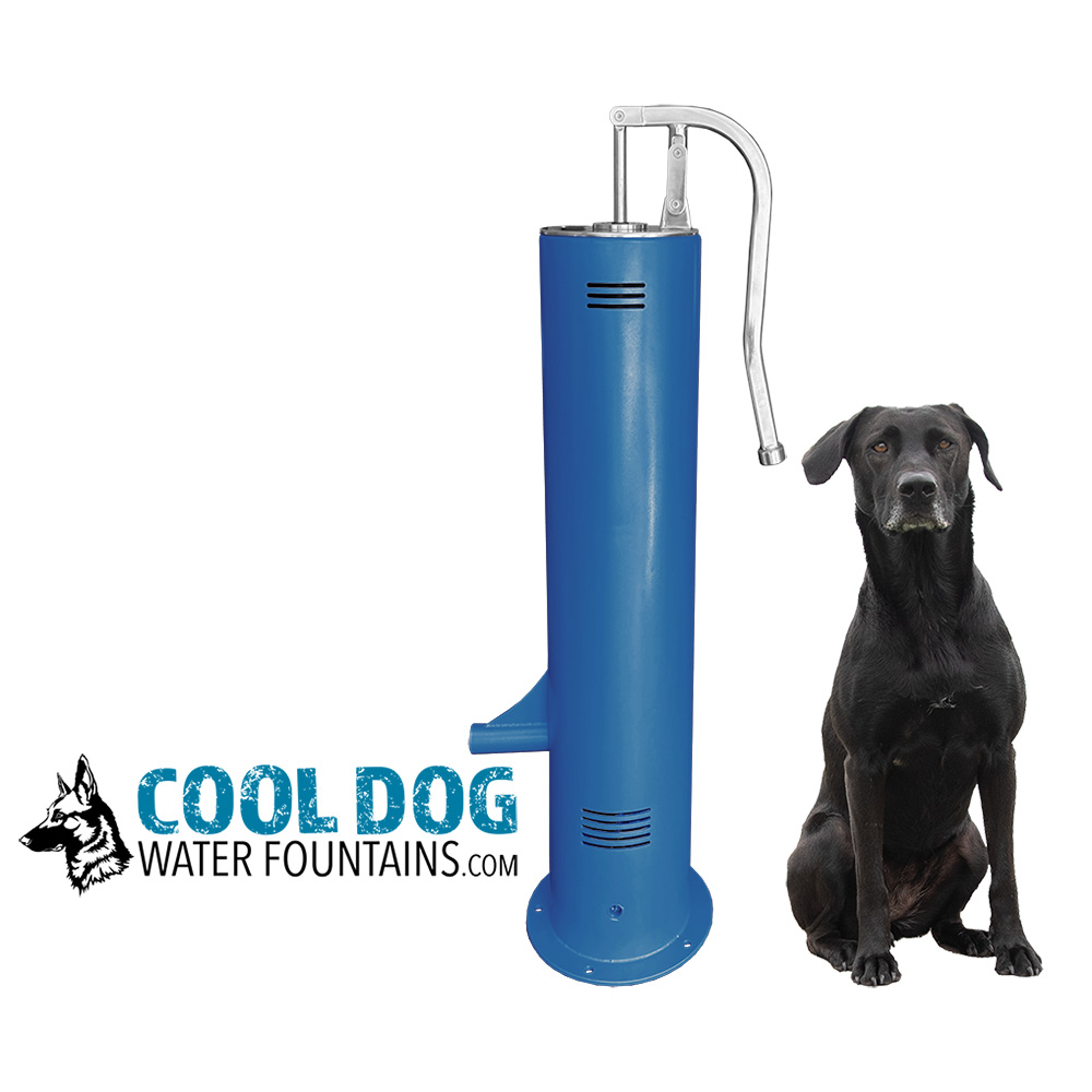 An application scenario or product detail of dog watering fountain - Image 17