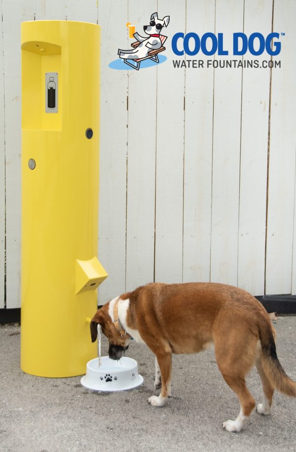 An application scenario or product detail of dog watering fountain - Image 20