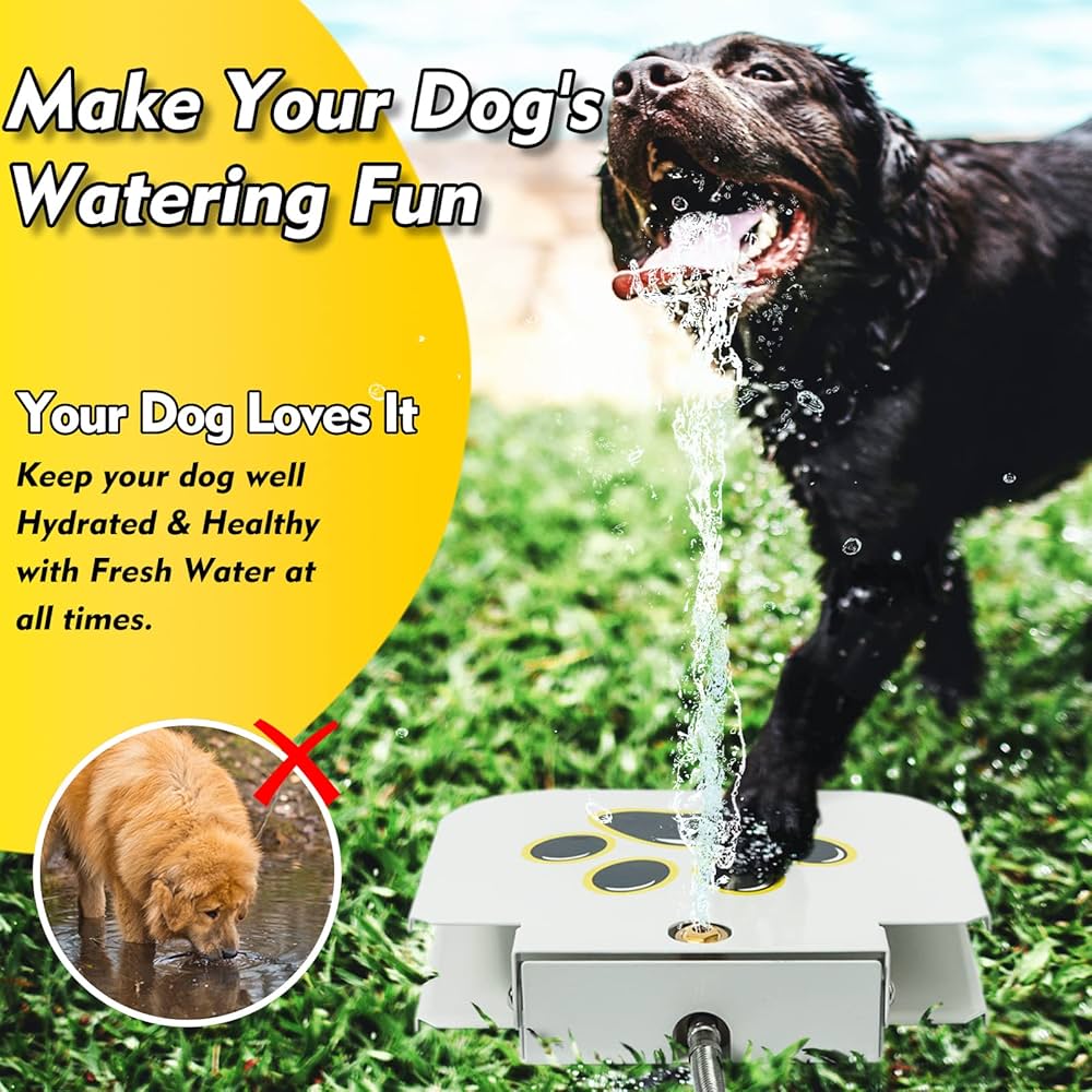 An application scenario or product detail of dog watering fountain - Image 21