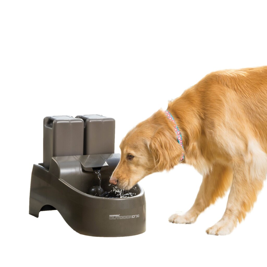 Featured image for the dog watering fountain guide