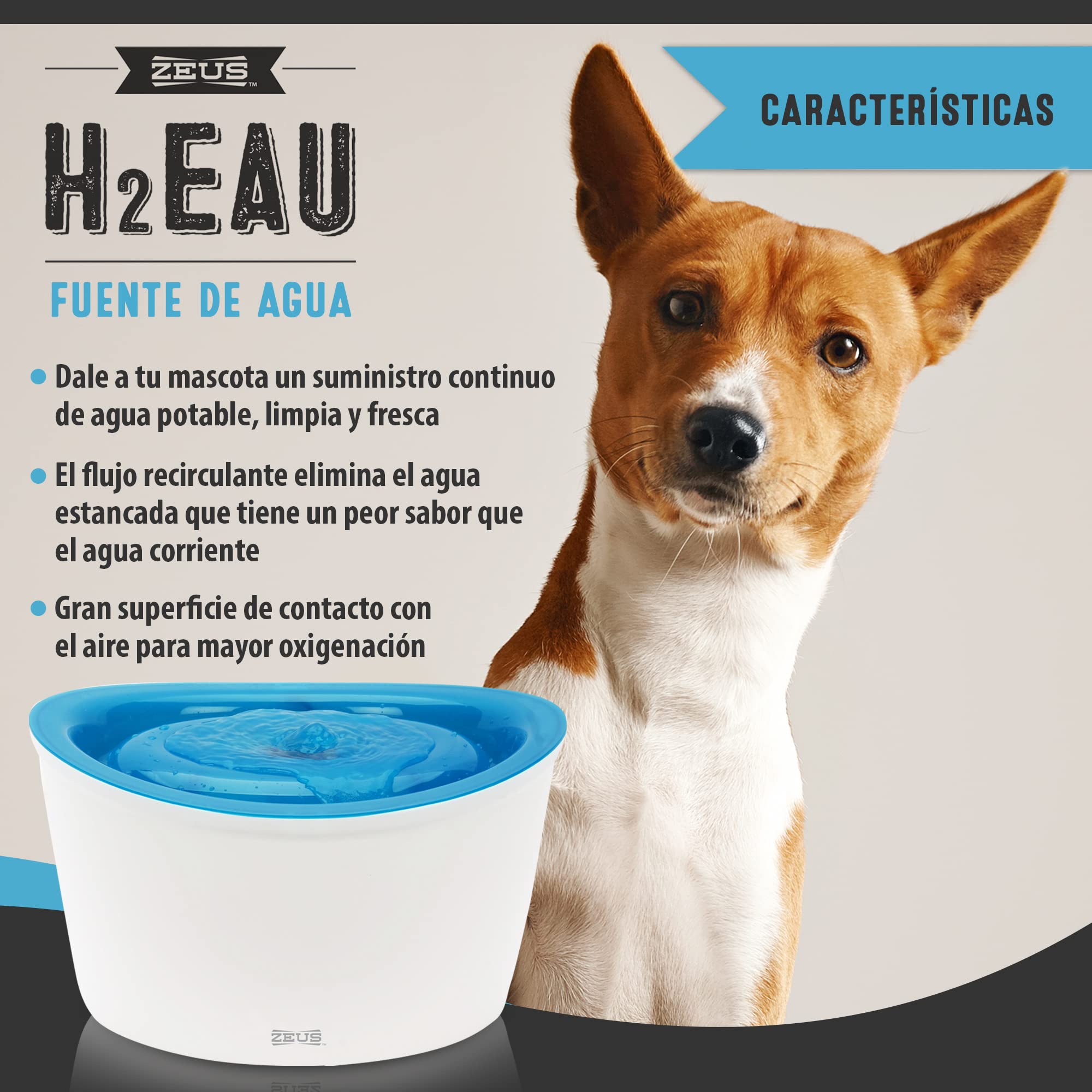 An application scenario or product detail of dogit water fountain - Image 3