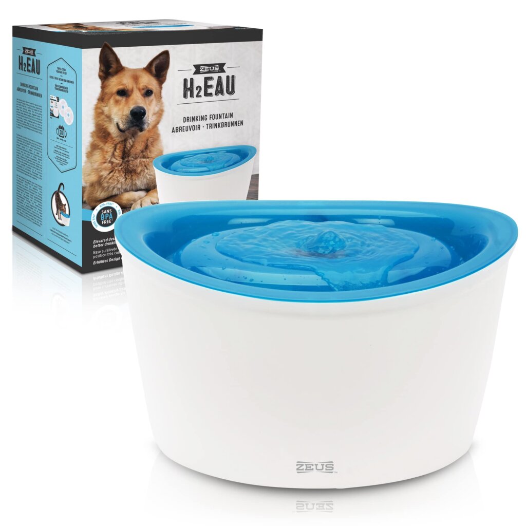 Featured image for the dogit water fountain guide