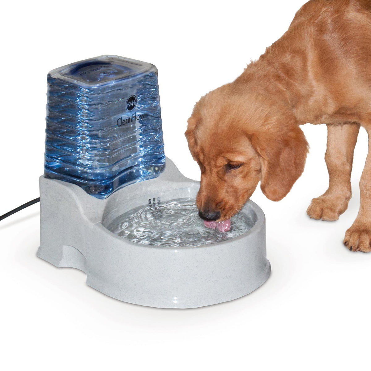 An application scenario or product detail of dogs water bowls - Image 3