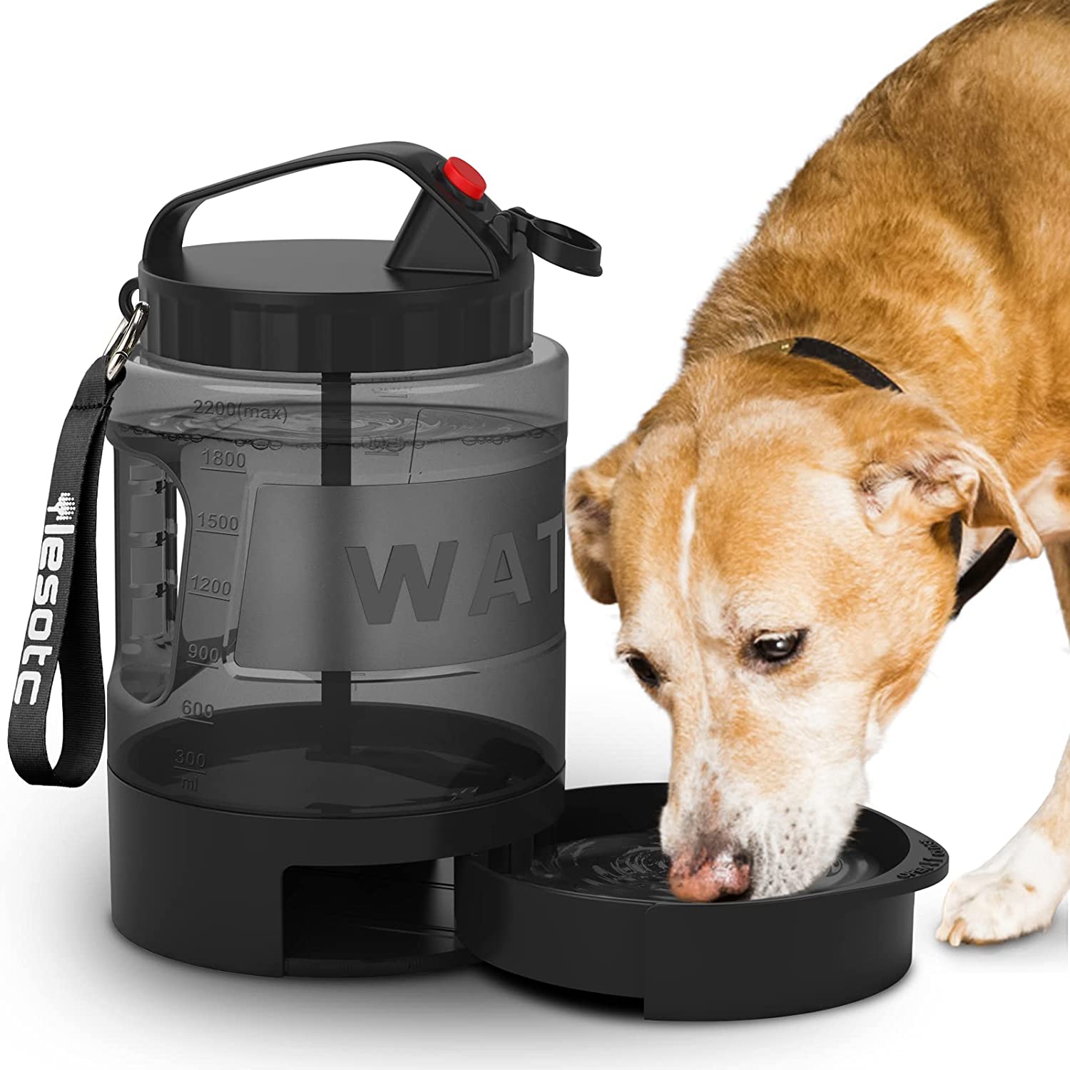 An application scenario or product detail of dogs water bowls - Image 6