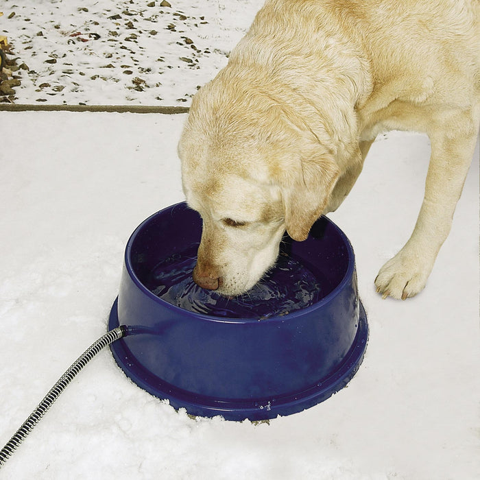 An application scenario or product detail of dogs water bowls - Image 10