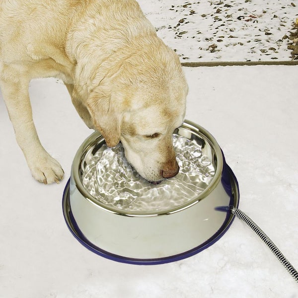 An application scenario or product detail of dogs water bowls - Image 16