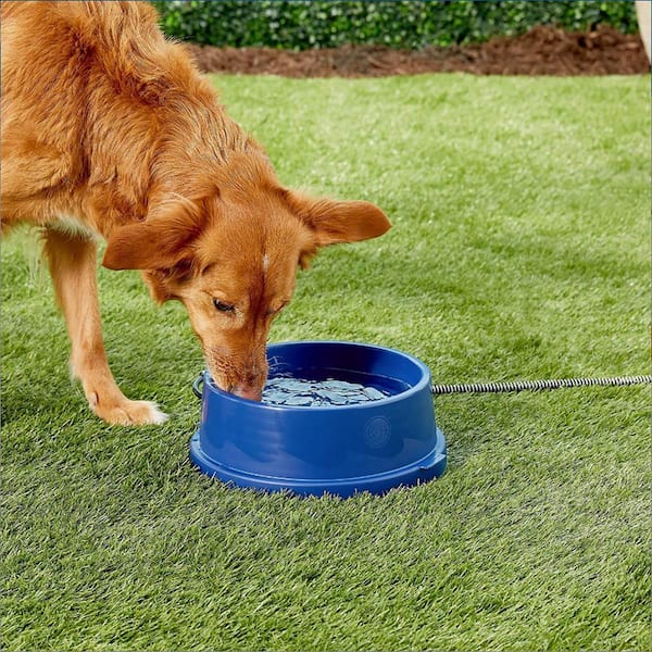 An application scenario or product detail of dogs water bowls - Image 20