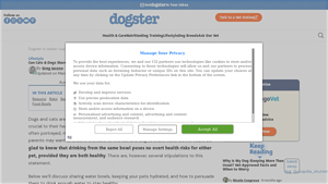 Dogster - Essential Water and Bowl Guide