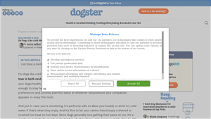 Dogster - Hydration Solutions for Dogs