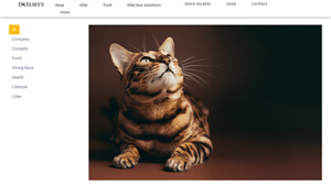 Drelseys - Nutritional Guide for Ages 1-7