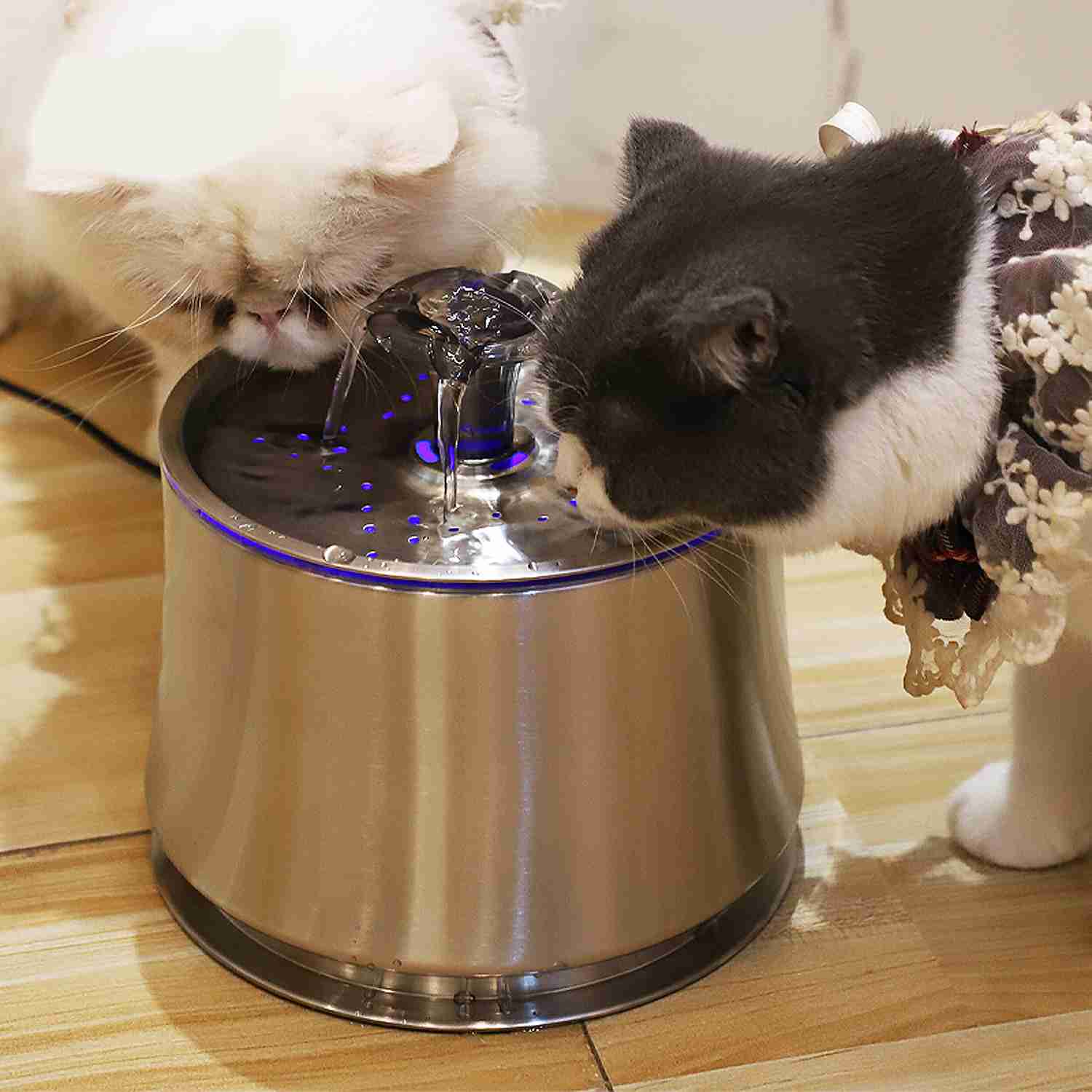 An application scenario or product detail of drinking water fountains for cats - Image 5