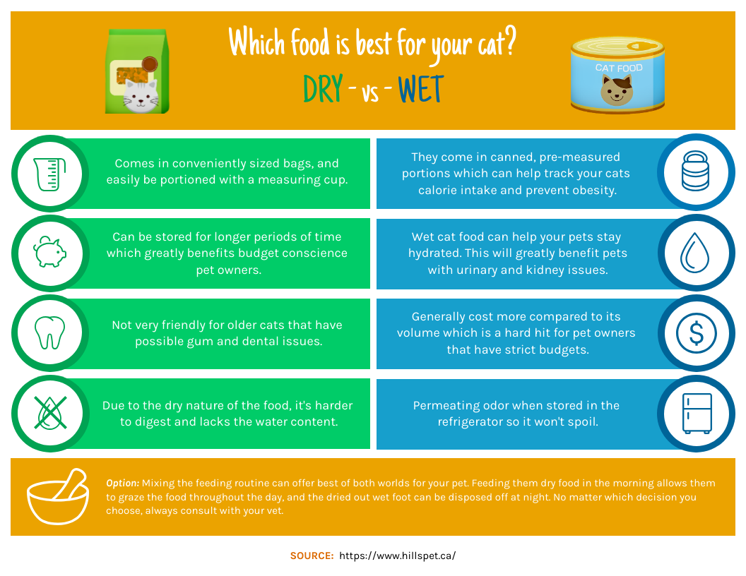 An application scenario or product detail of dry cat food versus wet cat food - Image 16