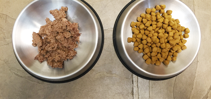 An application scenario or product detail of dry cat food versus wet cat food - Image 18